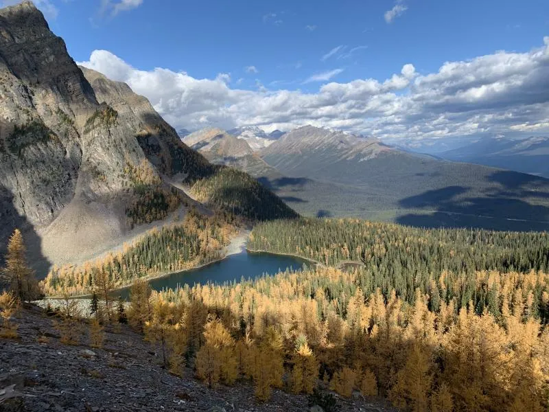 Roam Your Own Private Tours