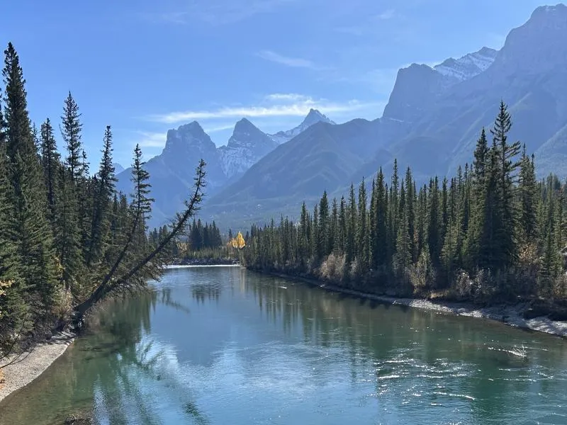 Roam Your Own Private Tours